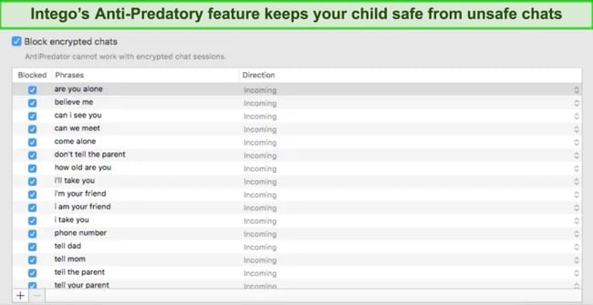 Screenshot of Intego's chat filter containing a list of predatory phrases